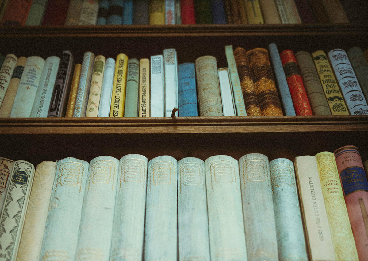 How To Store And Preserve Rare Books