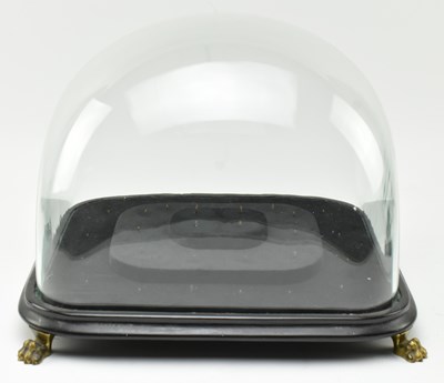 Lot 82 - VICTORIAN CIRCA 1825 GLASS DOME WITH EBONISED BLACK WOODEN BASE