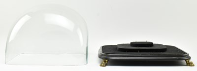 Lot 82 - VICTORIAN CIRCA 1825 GLASS DOME WITH EBONISED BLACK WOODEN BASE