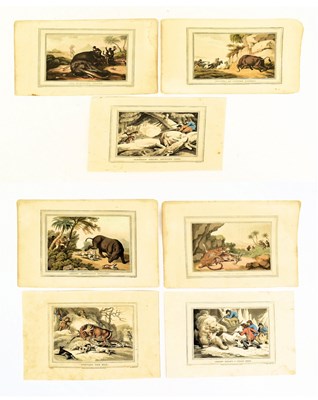 Lot 165 - AFRICA. SEVEN EARLY 19TH CENTURY AFRICAN GAME WATERCOLOUR ENGRAVINGS