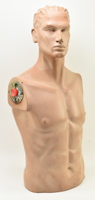 Lot 259 - GEMINI - VINTAGE MALE MODEL TORSO MANNEQUIN