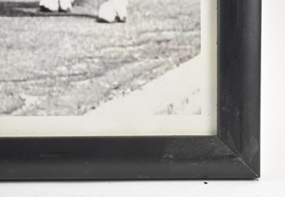 Lot 61 - TWO LARGE BLACK AND WHITE POLICE FORCE PHOTOGRAPHS