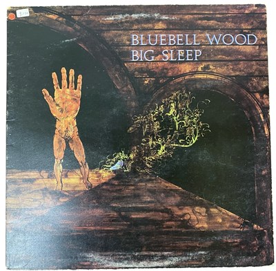 Lot 4 - BLUEBELL WOOD - BIG SLEEP - VINYL RECORD ALBUM