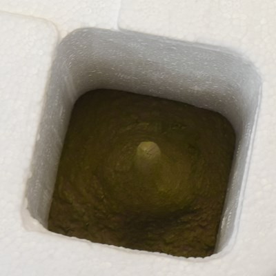 Lot 50 - STAR WARS - SIDESHOW COLLECTIBLES - YODA'S HUT 1/6 SCALE