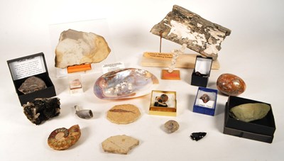 Lot 247 - NATURAL HISTORY - COLLECTION OF FOSSILS, GEMSTONES AND GEODES