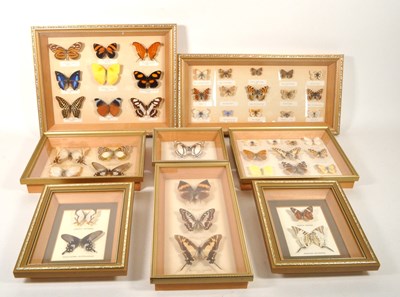 Lot 254 - LARGE COLLECTION OF TAXIDERMY BUTTERFLY SPECIMENS