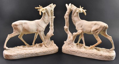 Lot 119 - PAIR OF VICTORIAN 19TH CENTURY PARIAN WARE GRAZING STAGS