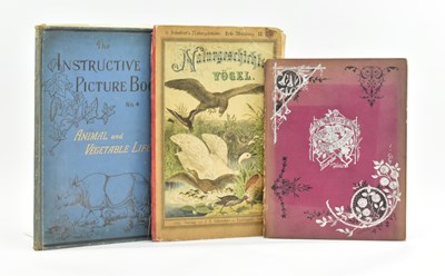 Lot 341 - CHILDREN'S ILLUSTRATED. THREE 19TH CENTURY WORKS WITH COLOUR PLATES