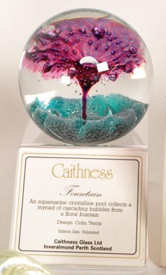 Lot 136 - COLLECTION OF LATE 20TH CENTURY STUDIO GLASS PAPERWEIGHTS