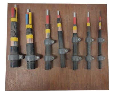 Lot 102 - VINTAGE EDUCATIONAL DISPLAY OF CABLE TYPES