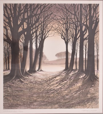 Lot 189 - KATHLEEN CADDICK (B. 1937) - WOODLAND EDGE ETCHING