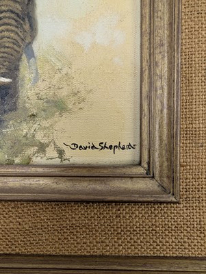 Lot 350 - DAVID SHEPHERD (1931-2017) - ELEPHANT STUDY - OIL ON CANVAS WITH ORIGINAL INVOICE