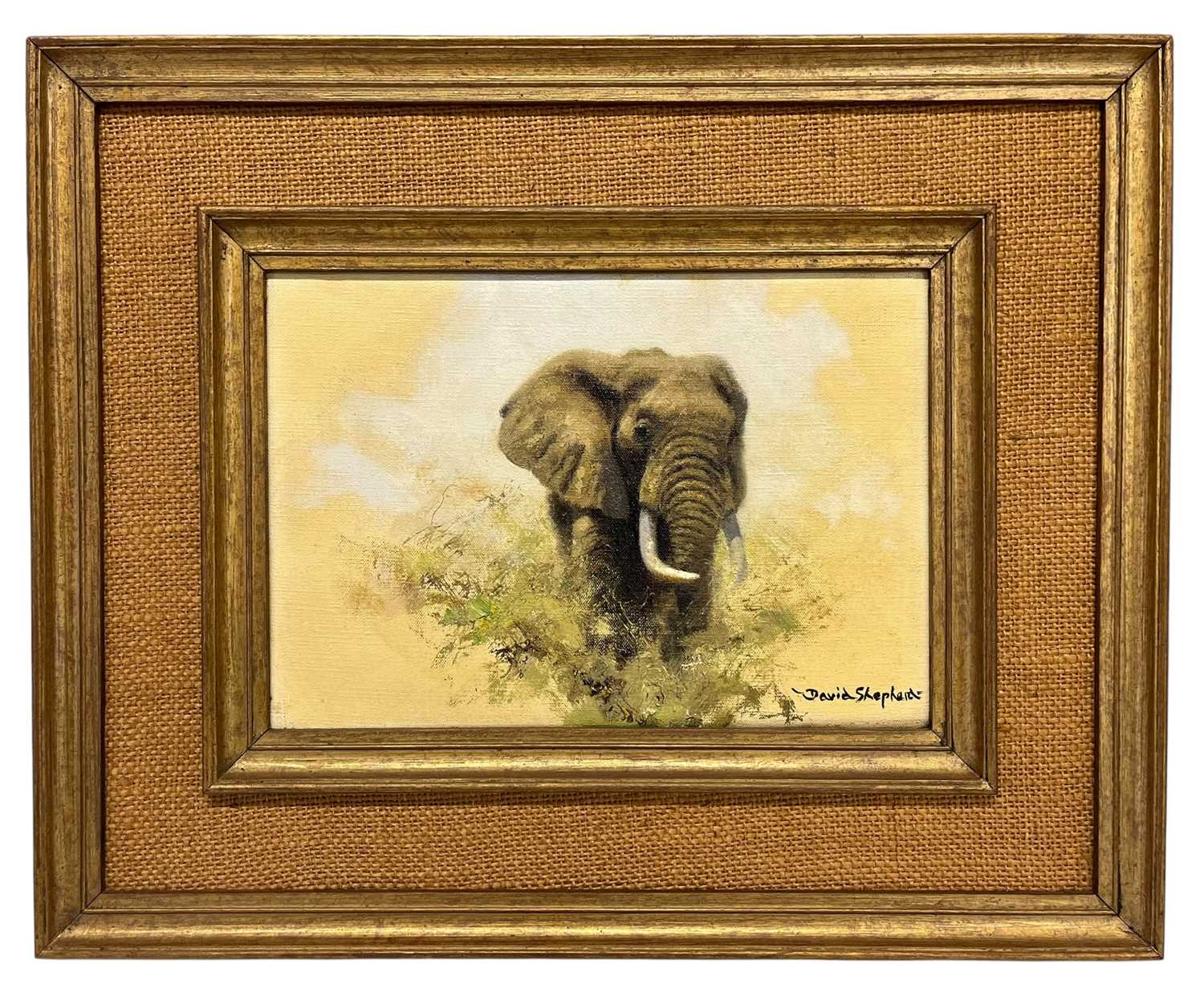 Lot 350 - DAVID SHEPHERD (1931-2017) - ELEPHANT STUDY - OIL ON CANVAS WITH ORIGINAL INVOICE