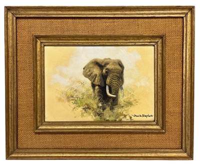 Lot 350 - DAVID SHEPHERD (1931-2017) - ELEPHANT STUDY - OIL ON CANVAS WITH ORIGINAL INVOICE