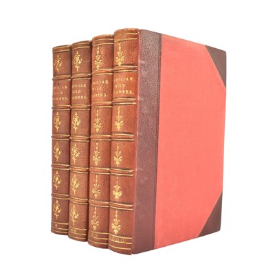 Lot 104 - BOTANY. C1880S FAMILIAR WILD FLOWERS FIRST THROUGH FOURTH SERIES BY F. EDWARD HULME