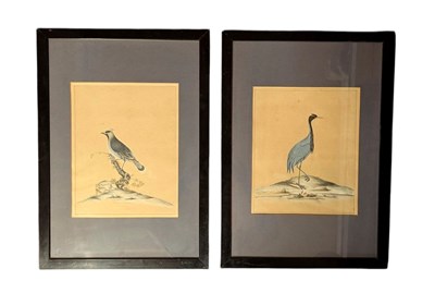 Lot 138 - ORNITHOLOGY - TWO HAND COLOURED PRINTS OF RARE & CURIOUS BIRDS FROM MENAGERY OF OSTERLY PARK