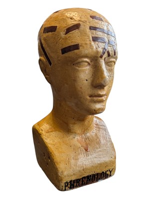 Lot 317 - A L VACO - 19TH CENTURY PLASTER PHRENOLOGY CARVED PORTRAIT BUST