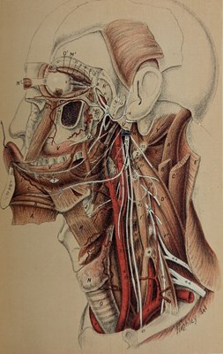 Lot 83 - BRODIE, GORDON C. [1892] DISSECTIONS ILLUSTRATED, COLOUR PLATES