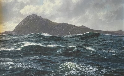 Lot 367 - STEVEN DEWS (B. 1949) - CAPE HORN - LIMITED EDITION SIGNED PRINT