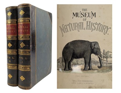 Lot 142 - [1860] THE MUSEUM OF NATURAL HISTORY, TWO VOLUMES, JOHN RICHARDSON ET AL.