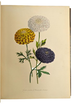 Lot 23 - LOUDON, MRS JANE 1843 - THE LADIES' FLOWER GARDEN OF ORNAMENTAL PERENNIALS