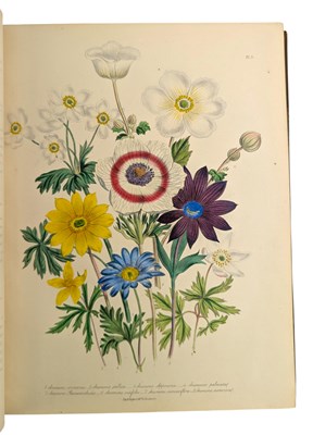 Lot 23 - LOUDON, MRS JANE 1843 - THE LADIES' FLOWER GARDEN OF ORNAMENTAL PERENNIALS
