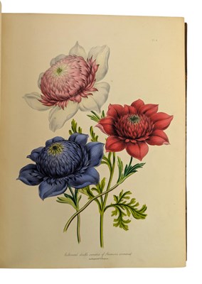Lot 23 - LOUDON, MRS JANE 1843 - THE LADIES' FLOWER GARDEN OF ORNAMENTAL PERENNIALS