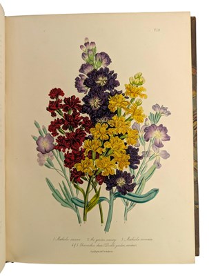Lot 23 - LOUDON, MRS JANE 1843 - THE LADIES' FLOWER GARDEN OF ORNAMENTAL PERENNIALS