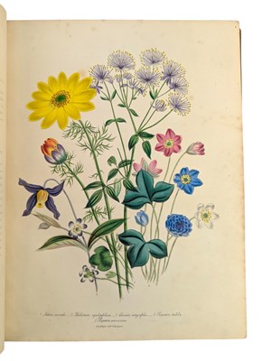 Lot 23 - LOUDON, MRS JANE 1843 - THE LADIES' FLOWER GARDEN OF ORNAMENTAL PERENNIALS