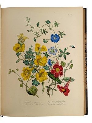 Lot 22 - LOUDON, MRS. JANE 1848 THE LADIES' FLOWER GARDEN OF ORNAMENTAL GREENHOUSE PLANTS