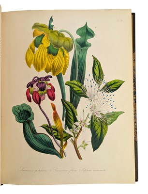 Lot 22 - LOUDON, MRS. JANE 1848 THE LADIES' FLOWER GARDEN OF ORNAMENTAL GREENHOUSE PLANTS