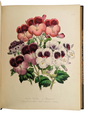 Lot 22 - LOUDON, MRS. JANE 1848 THE LADIES' FLOWER GARDEN OF ORNAMENTAL GREENHOUSE PLANTS