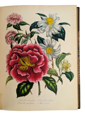 Lot 22 - LOUDON, MRS. JANE 1848 THE LADIES' FLOWER GARDEN OF ORNAMENTAL GREENHOUSE PLANTS