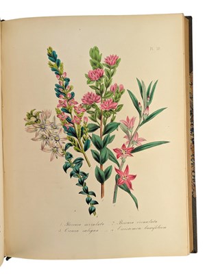 Lot 22 - LOUDON, MRS. JANE 1848 THE LADIES' FLOWER GARDEN OF ORNAMENTAL GREENHOUSE PLANTS
