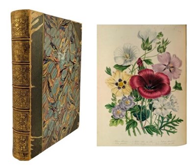 Lot 16 - LOUDON, MRS. JANE 1840 THE LADIES' FLOWER GARDEN OF ORNAMENTAL ANNUALS, FIRST ED