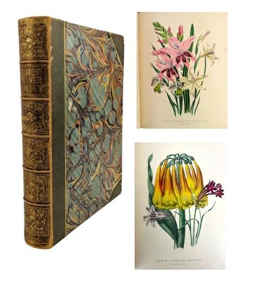 Lot 3 - LOUDON, MRS. JANE. 1841 THE LADIES' FLOWER GARDEN OF ORNAMENTAL BULBOUS PLANTS