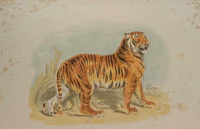 Lot 76 - THE PICTORIAL MUSEUM OF ANIMATED NATURE, [c1856-58] CHARLES KNIGHT, ILLUSTRATED