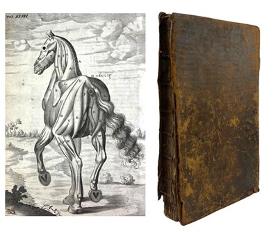 Lot 32 - SNAPE, ANDREW 1686 THE ANATOMY OF A HORSE, SECOND EDITION, ILLUSTRATED