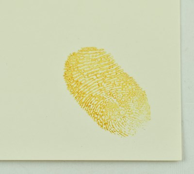 Lot 110 - STEVE LAZARIDES - "AUTHORISED GRAFFITI AREA" STICKER