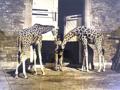 Lot 3 - FORMER BRISTOL ZOO GARDENS - EARLY KODAK PHOTOGRAPH