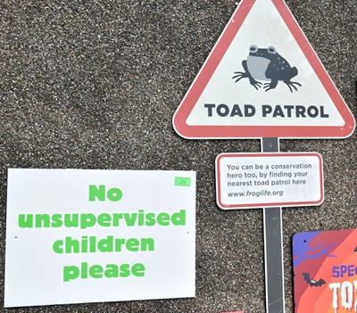 Lot 37 - FORMER BRISTOL ZOO GARDENS - COLLECTION OF ASSORTED SIGNS