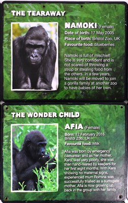 Lot 57 - FORMER BRISTOL ZOO GARDENS - GORILLA ISLAND IDENTIFICATION SIGNS