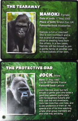 Lot 57 - FORMER BRISTOL ZOO GARDENS - GORILLA ISLAND IDENTIFICATION SIGNS