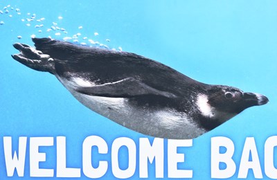 Lot 61 - FORMER BRISTOL ZOO GARDENS - 2020 'WELCOME BACK' WELCOME SIGN