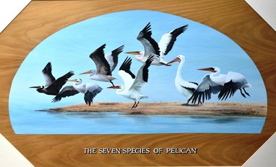 Lot 63 - FORMER BRISTOL ZOO GARDENS - 'SEVEN SPECIES OF PELICAN' - SUSAN JANE - PAINTING