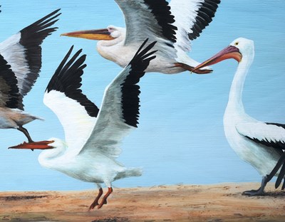 Lot 63 - FORMER BRISTOL ZOO GARDENS - 'SEVEN SPECIES OF PELICAN' - SUSAN JANE - PAINTING