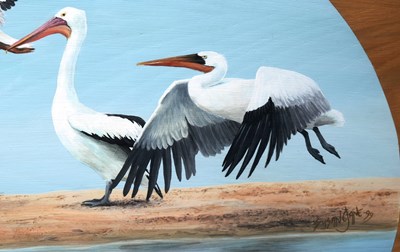Lot 63 - FORMER BRISTOL ZOO GARDENS - 'SEVEN SPECIES OF PELICAN' - SUSAN JANE - PAINTING