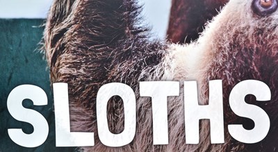 Lot 106 - FORMER BRISTOL ZOO GARDENS - SLOTHS - ORIGINAL ENCLOSURE SIGN
