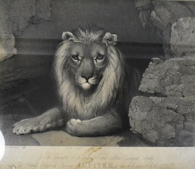 Lot 120 - FORMER BRISTOL ZOO GARDENS - AFTER JOHN WEST MILES - JUPITER ENGRAVING