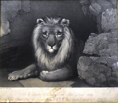 Lot 120 - FORMER BRISTOL ZOO GARDENS - AFTER JOHN WEST MILES - JUPITER ENGRAVING